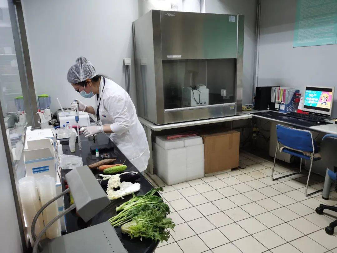 巴彦淖尔食品检测实验室装修方案